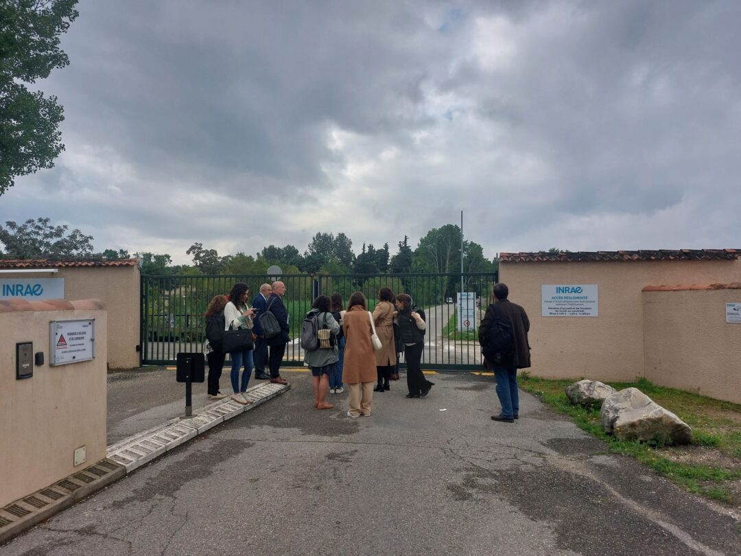 15 mai 2024 | 4ème réunion en face à face France