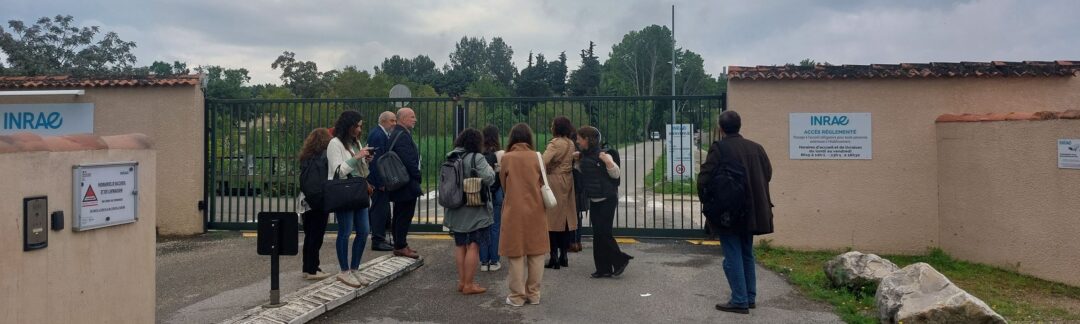 15 May 2024 | 4th Face to Face Meeting France