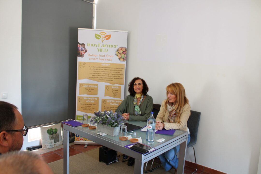 03 maio 2024 | Workshop Figo-da-Índia: Aplicações e competitividade do agronegócio