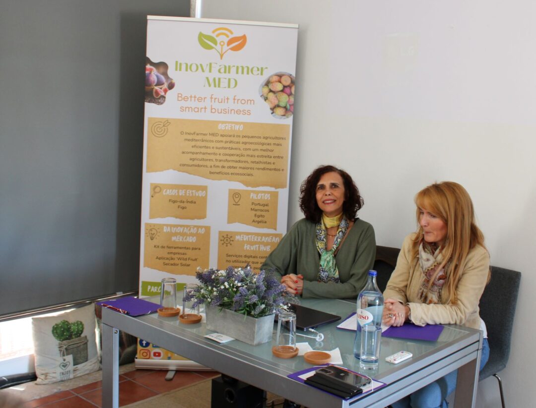 03 May 2024 | Workshop Prickly Pear: Agribusiness applications and competitiveness